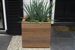 ADEZZ hardwood planter 1