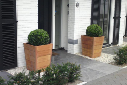 ADEZZ hardwood planter 21