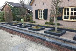 afbeelding tuin 2