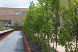 Corten retaining walls -